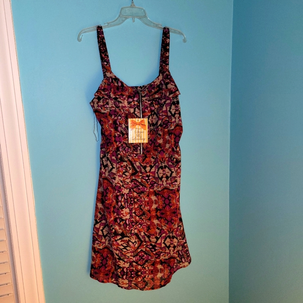 NWT Stevie & Lindsay Floral Lined Dress sz. 1X